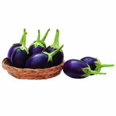 Egg Plant Seeds