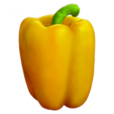 Capsicum Super Gold [HY] Seeds