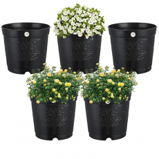 Plants Nursery Seedlings Pot