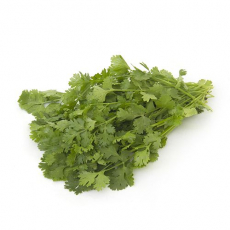 Coriander Leaves