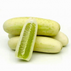 Cucumber - White