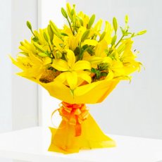 Yellow Asiatic Lilies