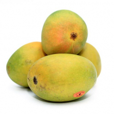 Alphonso Mango