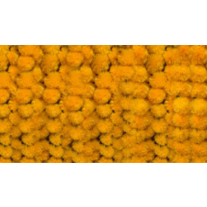 Marigold Garlands orange