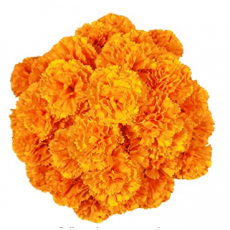 Marigold Flower Heads Bulk 50Pcs